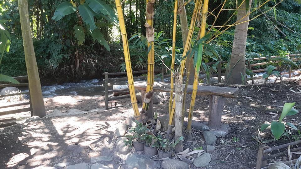 צ'יאנג דאו Doo-Dao-Doi Farm & Stay מראה חיצוני תמונה